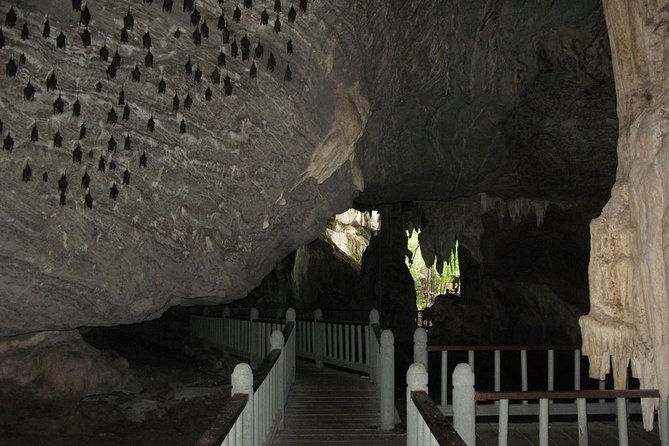 Langkawi Mangrove with Kayaking Experince - Why this Langkawi kayak trip is worth considering