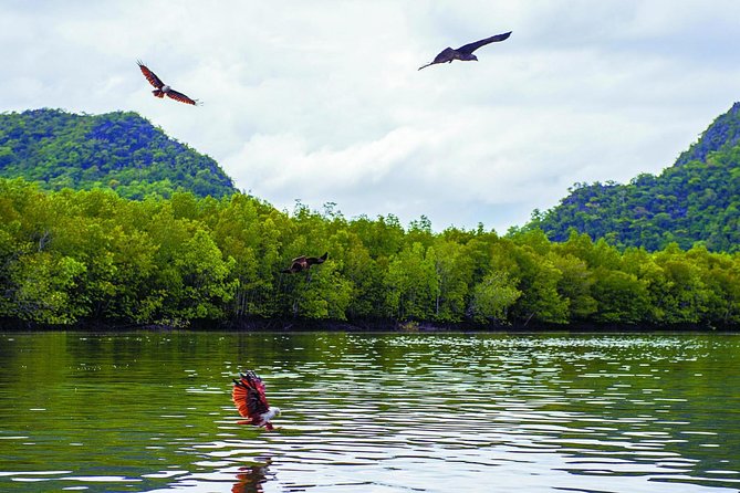 Langkawi Mangrove with Kayaking Experince - The fish farm, useful stop with a tourist feel