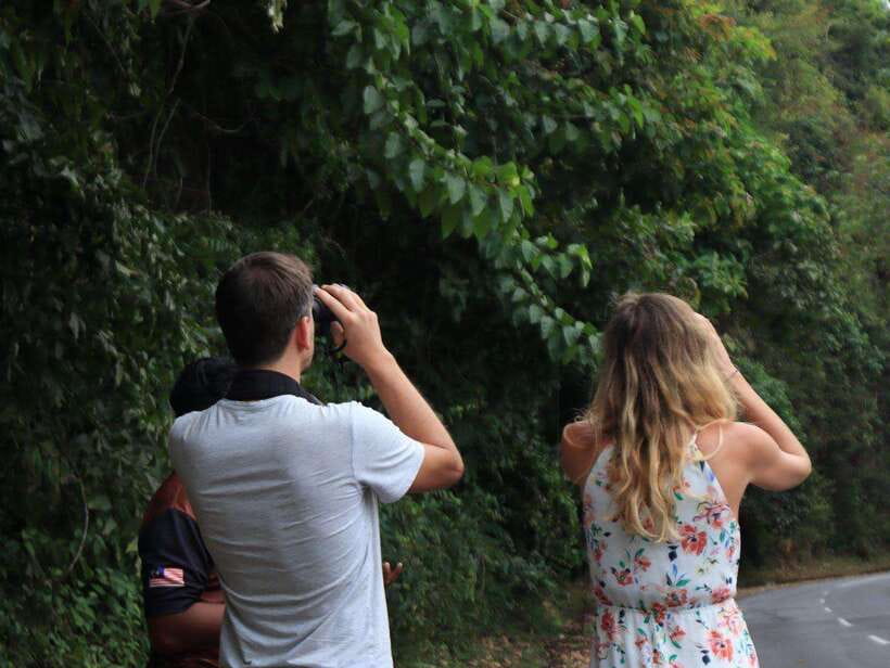 Langkawi: Nighttime Rainforest Tour with Nature Guide - Why this Langkawi night tour is worth considering