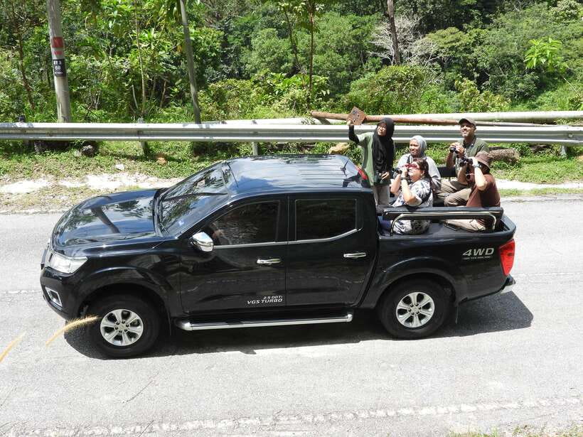 Langkawi: Nighttime Rainforest Tour with Nature Guide - The move from sunset to night