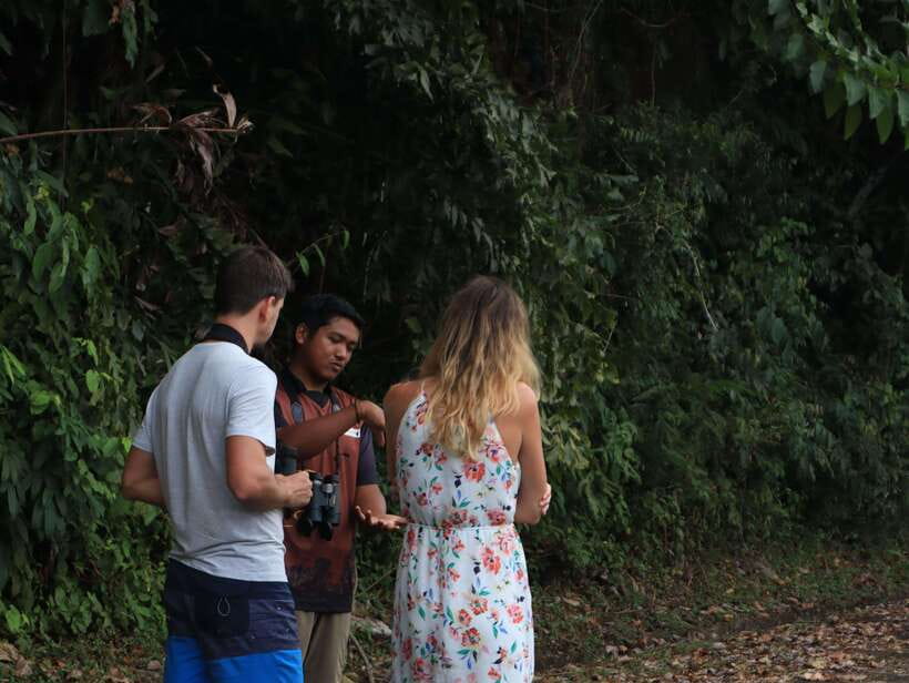 Langkawi: Nighttime Rainforest Tour with Nature Guide - Searching for colugos at Lubuk Semilang