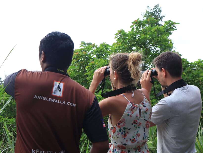 Langkawi: Nighttime Rainforest Tour with Nature Guide - The value of a four-person group