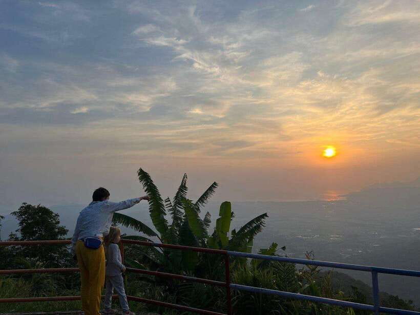 Langkawi: Nighttime Rainforest Tour with Nature Guide - What the $37 price includes