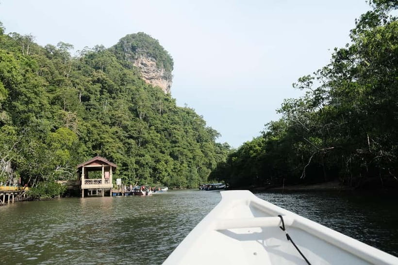 Langkawi: Private 2-Hour Mangrove Tour with Hotel Transfer - The Mangroves and Langkawi Wildlife