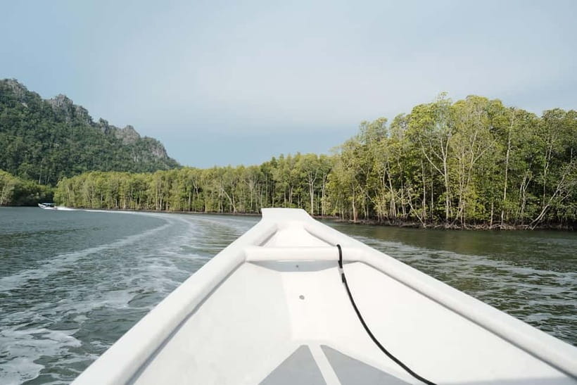 Langkawi: Private 2-Hour Mangrove Tour with Hotel Transfer - Hotel Pickup: Convenient, With One Important Check