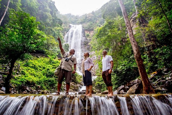 Langkawi Rainforest Jungle Trekking Tour with Private Pickup - Key points to know before booking