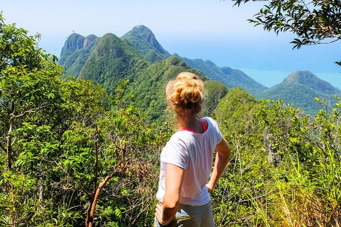 Langkawi Rainforest Jungle Trekking Tour with Private Pickup - What this Langkawi jungle tour is really offering