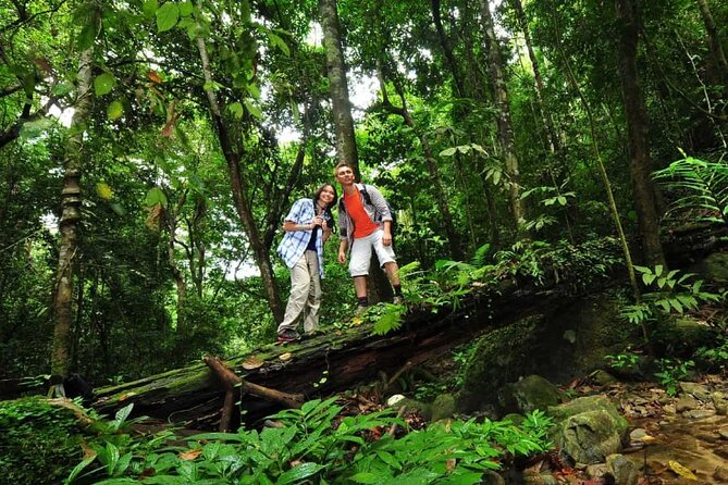Langkawi Rainforest Jungle Trekking Tour with Private Pickup - Tea, snacks, and what is actually included