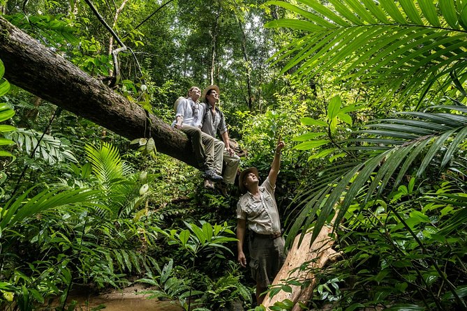 Langkawi Rainforest Jungle Trekking Tour with Private Pickup - Private pickup from a hotel or cruise terminal