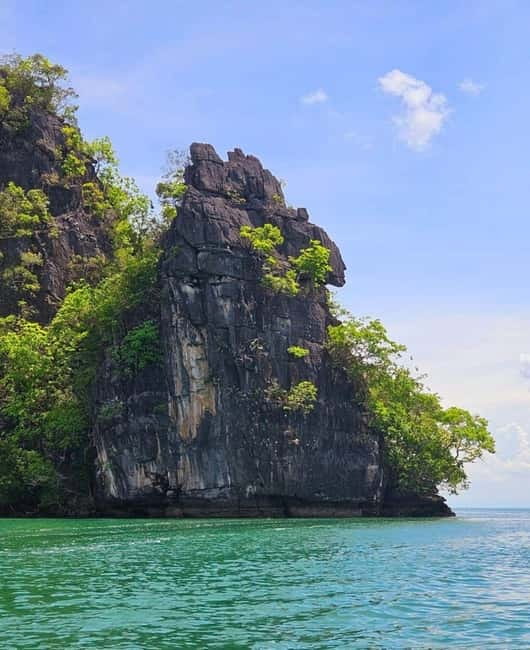 Langkawi: River Cruise and Sunset Cruise Lunch Available - Fish feeding and the floating farm