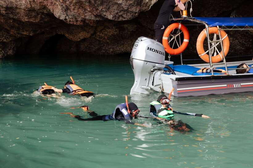 Langkawi Royal Mangrove Tour with Snorkeling Package - Why the mangroves are worth your morning