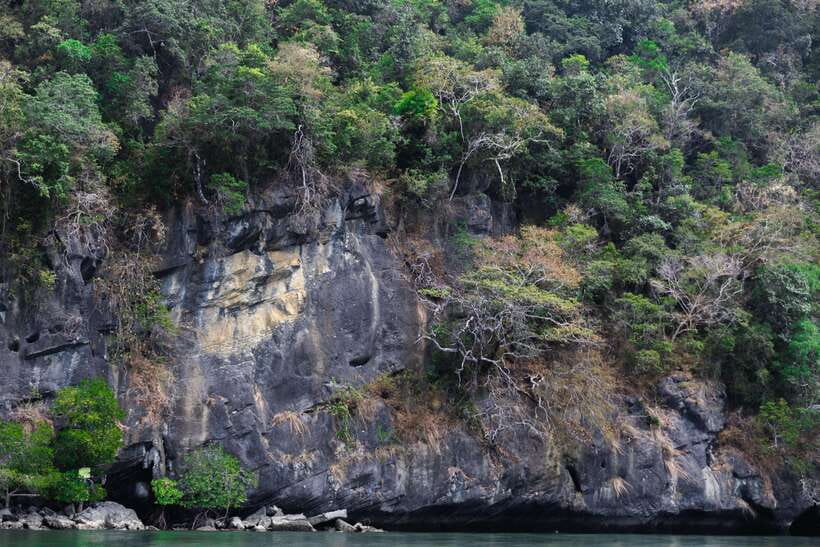 Langkawi Royal Mangrove Tour with Snorkeling Package - Bat Cave and Crocodile Cave
