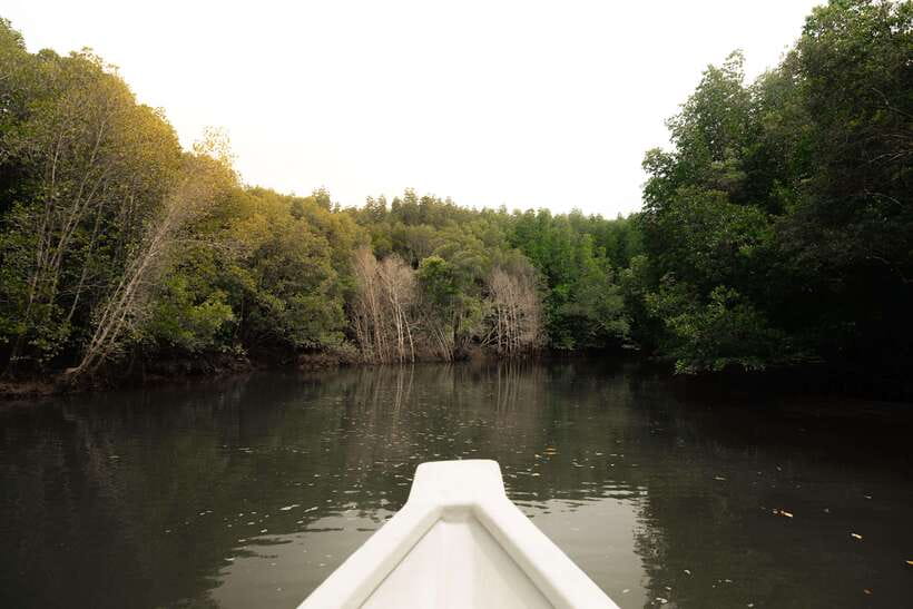 Langkawi Royal Mangrove Tour with Snorkeling Package - Floating Restaurant and Gorilla Mountain views