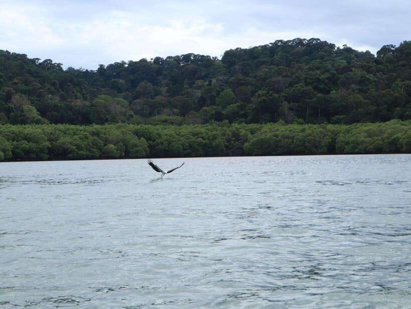 Langkawi: Southern Island Geopark Tour - What to Bring for a Comfortable Trip