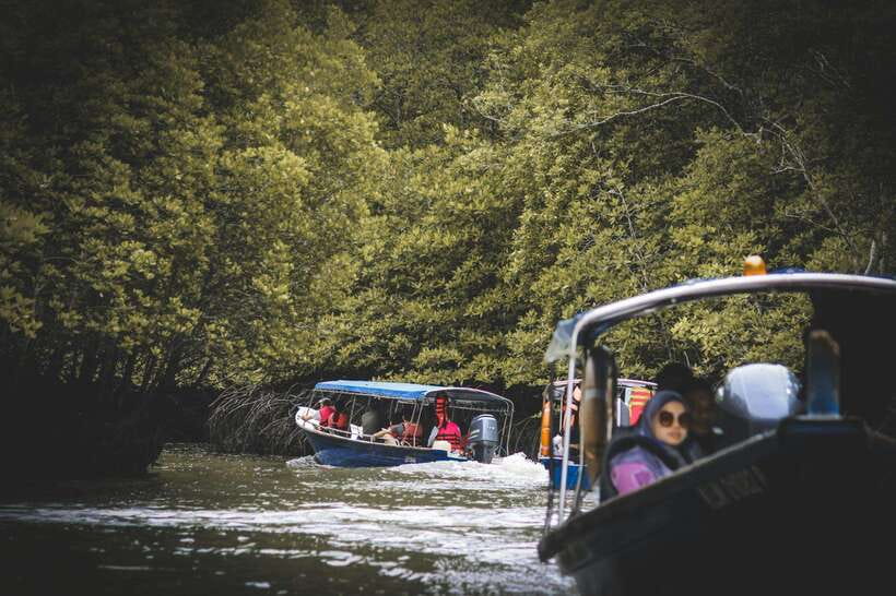 Langkawi: Tanjung Rhu Mangrove Speedboat Tour - Crocodile Cave and the unusual limestone coast