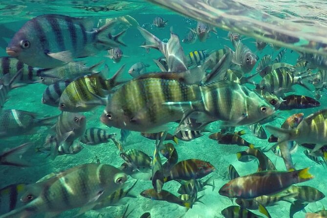 Langkawi Tour A - Land Tour & Pulau Dangli Snorkeling - Finishing at Pantai Cenang for sunset