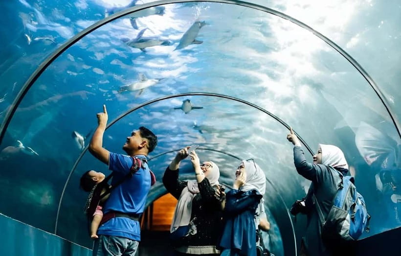 Langkawi: Underwater World Langkawi Entry Ticket - Start with the Marine Life Zone
