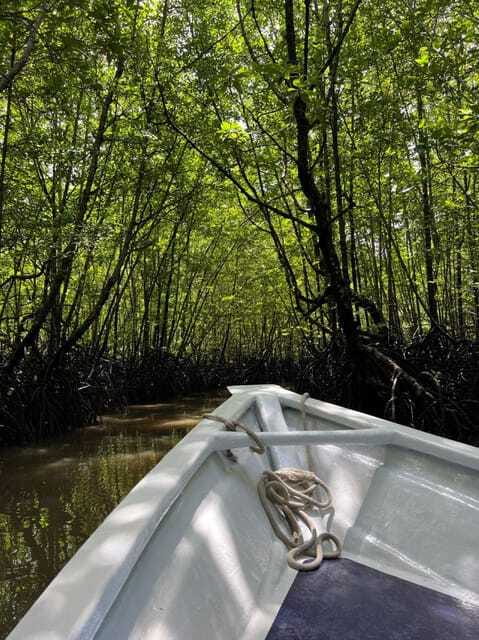 Langkawi: UNESCO Global Geopark Mangrove Cruise - Who should book this cruise?