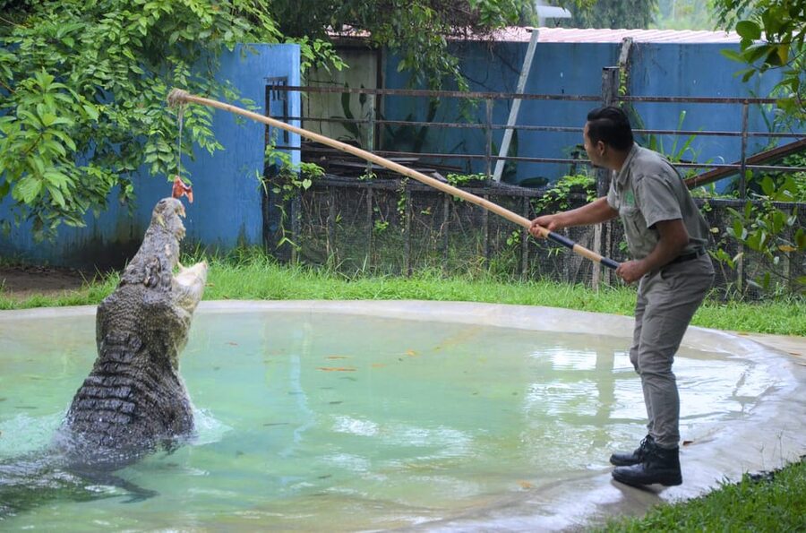 Langkawi: Wildlife Park Admission Ticket - Key points to know before you go