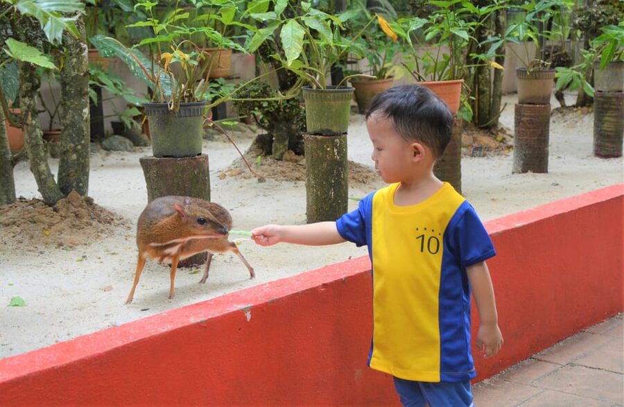 Langkawi: Wildlife Park Admission Ticket - Who will enjoy this park most