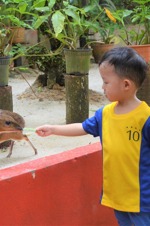 Langkawi: Wildlife Park Admission Ticket - Clean grounds and animal care