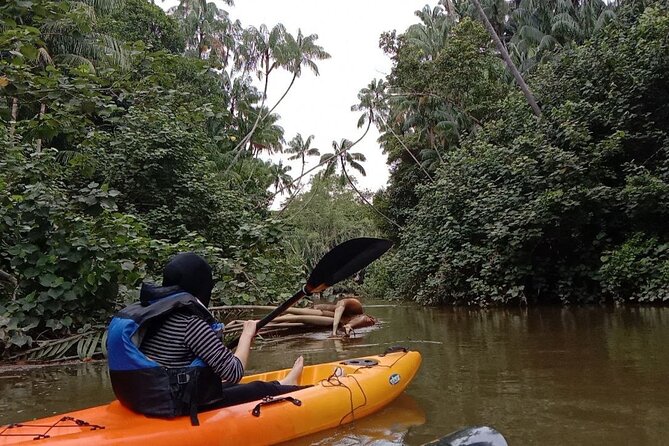 Lebam River Kayaking Adventure - Why the Lebam River makes a good morning outing