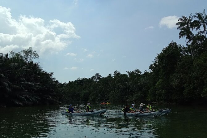 Lebam River Kayaking Adventure - 1:00 p.m. return to the jetty