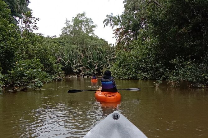 Lebam River Kayaking Adventure - Desaru Fruit Farm for a taste of local produce