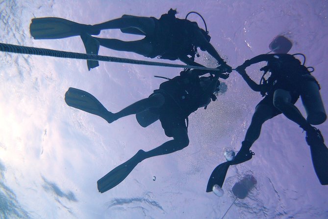 Leisure Diving | Fun Dives | 3 Dives in TARP, Kota Kinabalu - What the $105 price includes