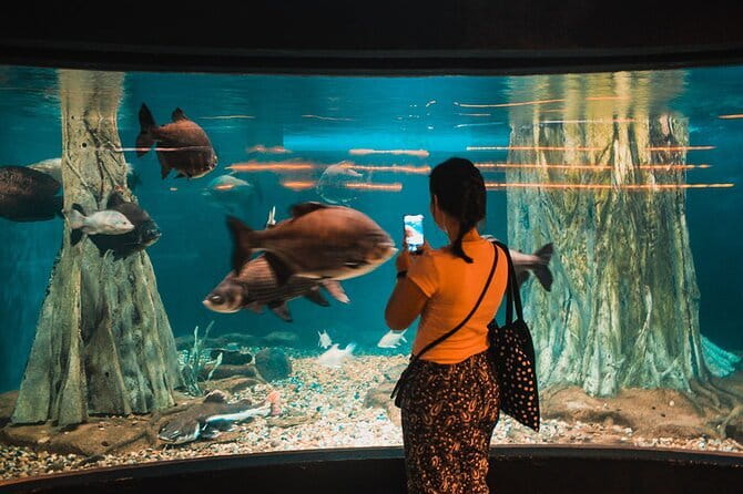 Malaysia: Aquaria KLCC Admission E-Ticket - Aquaria KLCC beside Kuala Lumpur’s famous towers
