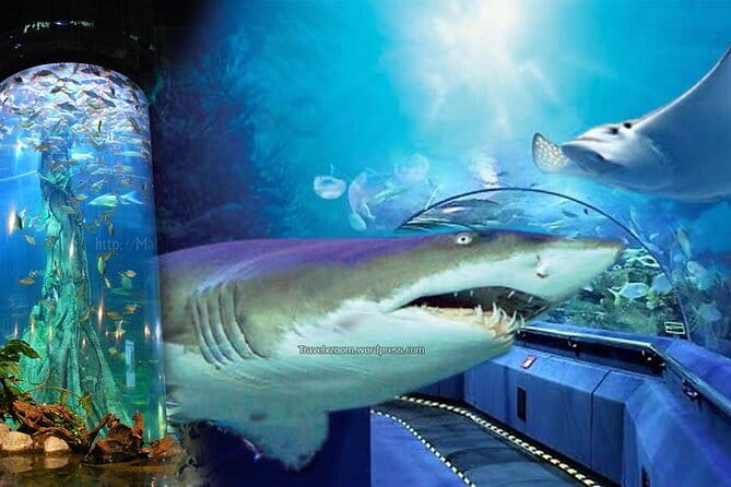Malaysia: Aquaria KLCC Admission E-Ticket - Is $12.50 good value?