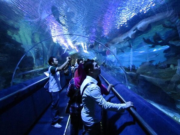 Malaysia: Aquaria KLCC Entry Ticket - Key points to know before you go
