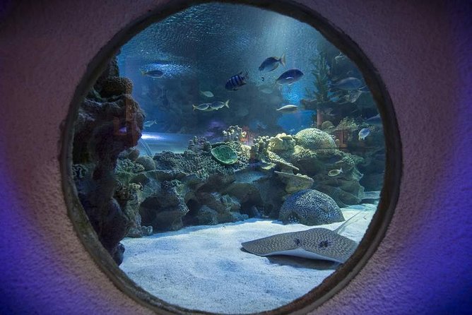 Malaysia: Aquaria KLCC Entry Ticket - Malaysia’s largest single saltwater tank