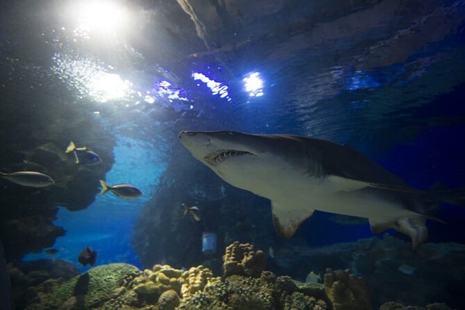 Malaysia: Aquaria KLCC Entry Ticket - Booking, mobile entry, and the non-refundable rule