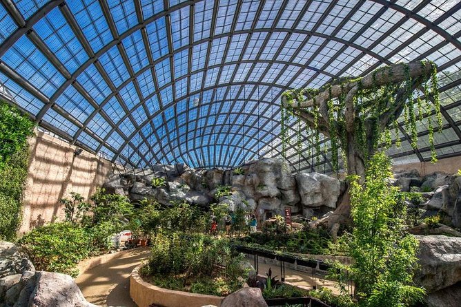 Malaysia: Discover Nature's Wonders with Entopia Entry Ticket - The Cocoon turns observation into learning