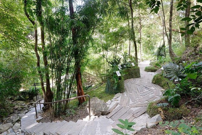 Malaysia: Penang Tropical Spice Garden Guided Tours Tickets - Walking through eight acres of tropical plants
