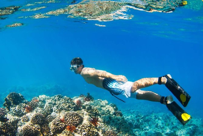 Mamutik + Sapi Island SnorkelingTrip from Kota Kinabalu - Manukan Island: beach time with several ways to spend it