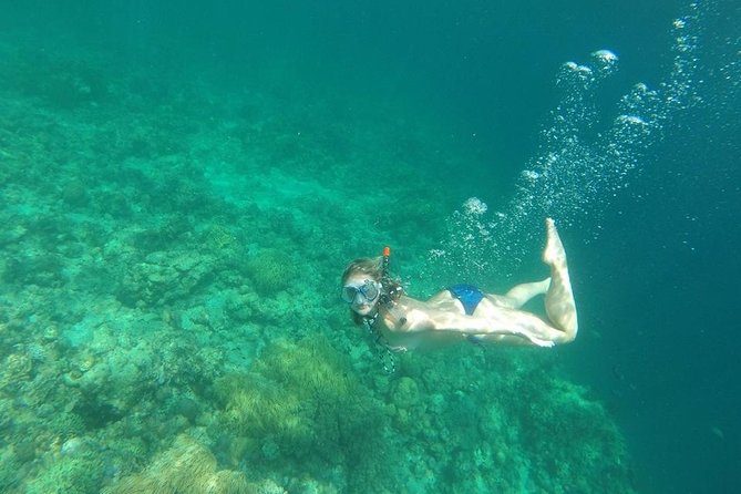 Mamutik + Sapi Island SnorkelingTrip from Kota Kinabalu - Timing, group size, and the value of the package