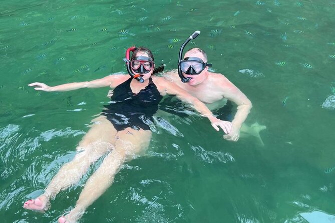 Mangrove River Cruise and Snorkeling Tour from Langkawi - Reading the mangrove forest with a naturalist guide