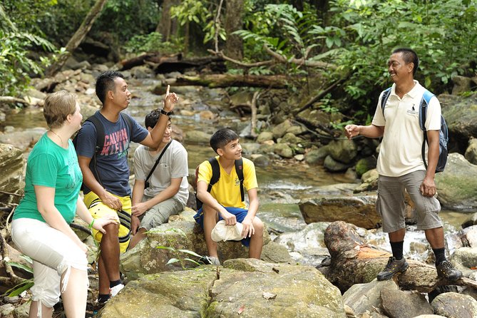 Morning Rainforest Walking from Langkawi - Key points to know before you book