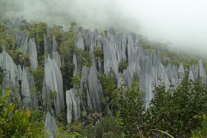 Mulu Headhunter's Trail - 3 Days Trekking & Cultural Experience - What the $394.88 price includes