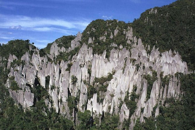 Mulu Headhunter's Trail - 3 Days Trekking & Cultural Experience - The Iban longhouse gives the trip its cultural focus