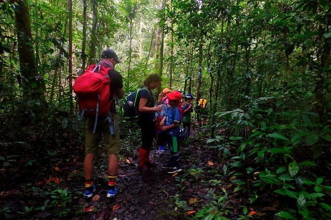 Mulu Headhunter's Trail - 3 Days Trekking & Cultural Experience - Day two: The 11-kilometre crossing and a longboat to Mendalam River