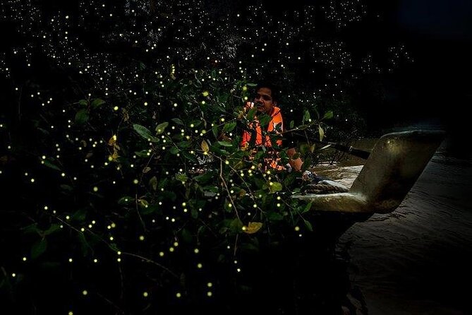 Mystical Nights: Fireflies & Blue Tears Adventure - A 4:00 pm start keeps the route moving
