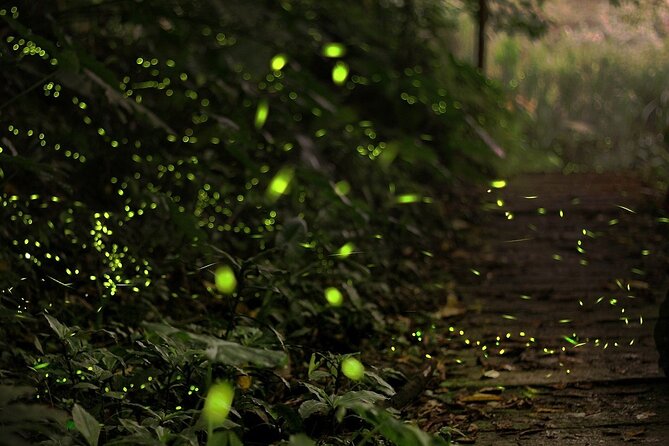 Mystical Nights: Fireflies & Blue Tears Adventure - Sri Shakti Dhevasthanam, 20 minutes of carved color