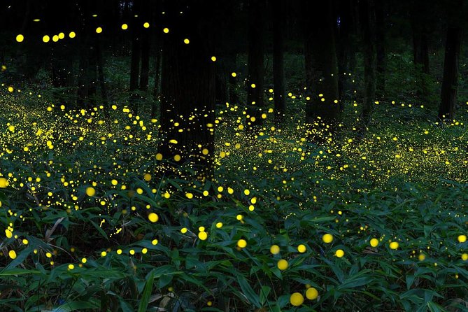 Nature’s Wonders: Kuala Selangor Fireflies & Hot Springs Tour - Soaking your feet at Setapak Hot Spring