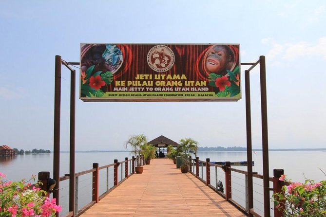 Orang Utan Island and Perak Tong Cave From Kuala Lumpur - Meeting the Orangutans at Bukit Merah