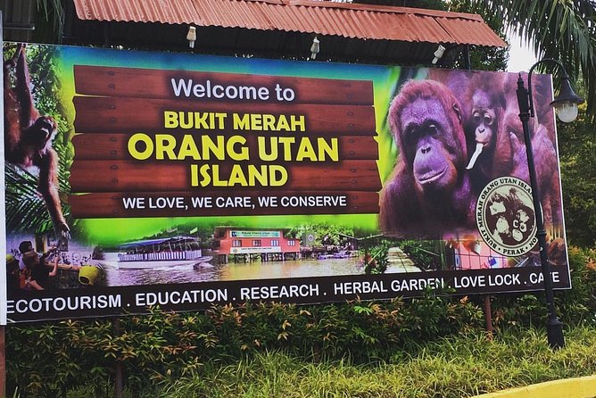 Orang Utan Island Day Tour - Why the Orang Utan Island visit matters