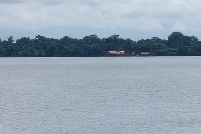 Orangutan Island, A Responsible Wildlife Sanctuary Experience - The driver-host can shape the whole day