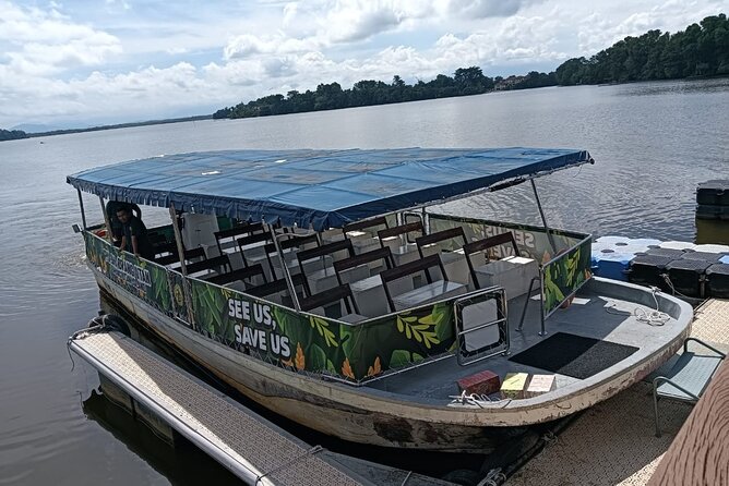 Orangutan Island, A Responsible Wildlife Sanctuary Experience - Is $153 per person good value?
